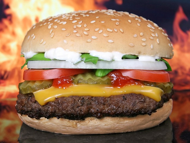 hamburger photo